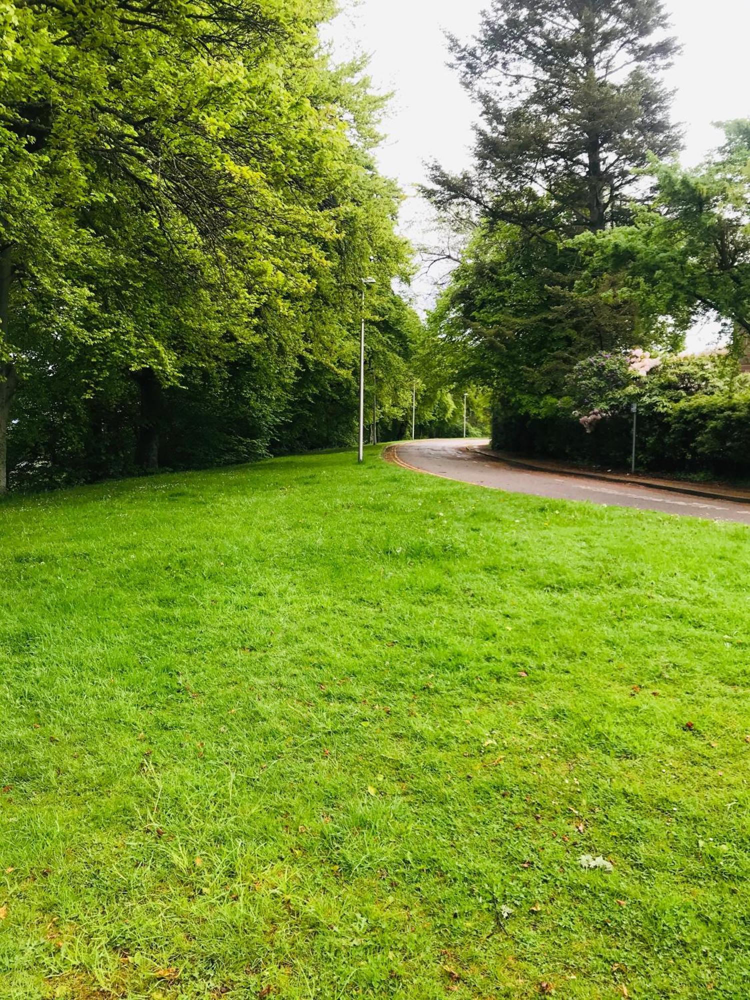 City Central Quiet Garden Apartment With Free Parking Inverness Exterior foto